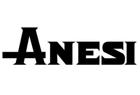 Anesi