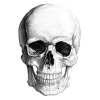Profile picture for user gustavodsgn