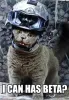 Profile picture for user ApocalypseMaow